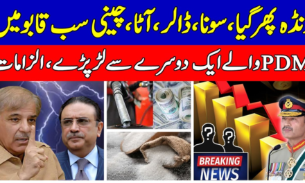Well Done ! Gen Asim Munir At Best|Gold ,Dollar In Control|PDM|Shehbaz Sharif|Asif Zardari