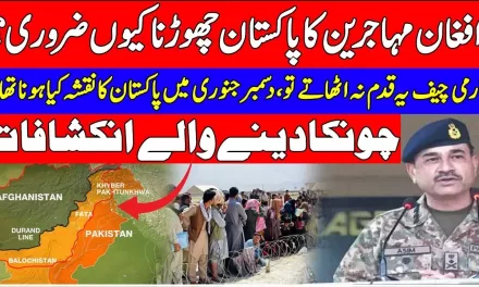 Gen Asim Munir Brilliant Step at Right Time Against Afghan Peoples in Pakistan